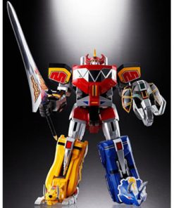 SOUL OF CHOGOKIN DAIZYUJIN